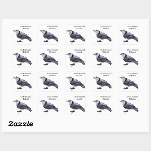 Witgebluste Nuthatch Vierkante Sticker (Vel)