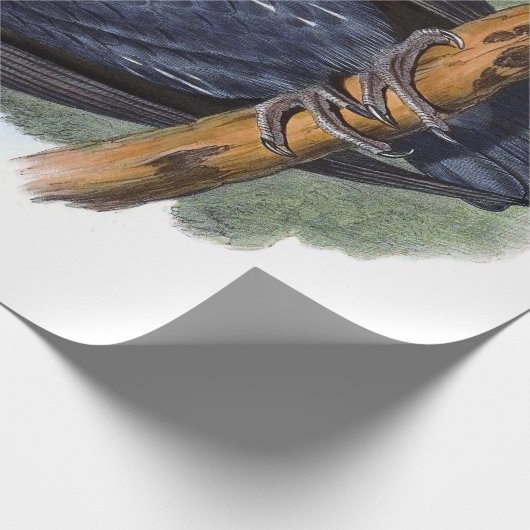  witgepompte vogelstand cadeaupapier (Hoek)