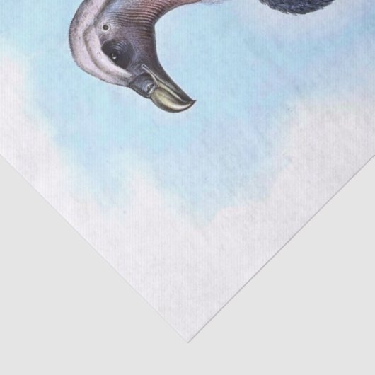  witgepompte vogelstand tissuepapier (Detail)