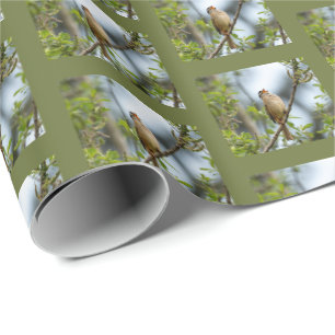 Witgestreepte Gors - Kunstzinnige Vogel fotografie Cadeaupapier