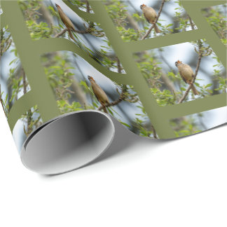 Witgestreepte Gors - Kunstzinnige Vogel fotografie Cadeaupapier