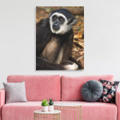 With-Hand Gibbon (Hylobates Lar), Monkeyland Canvas Afdruk (Insitu (Woonkamer))