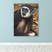 With-Hand Gibbon (Hylobates Lar), Monkeyland Canvas Afdruk (Insitu (Houten vloer))