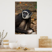 With-Handige Gibbon (Hylobates Lar), Monkeyland Poster (Keuken)