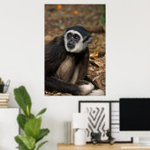 With-Handige Gibbon (Hylobates Lar), Monkeyland Poster (Thuiskantoor)