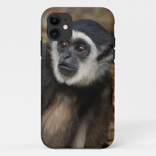 Withandgibbon (Hylobates Lar), Monkeyland Case-Mate iPhone Case