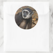 Withandgibbon (Hylobates Lar), Monkeyland Ronde Sticker (Tas)
