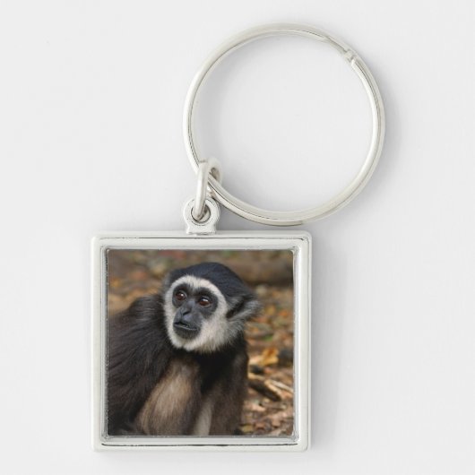 Withingibbon (Hylobates Lar), Monkeyland Sleutelhanger (Voorkant)
