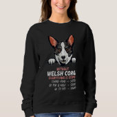without Welsh Corgi dog everything is stupid_3 Trui (Voorkant)