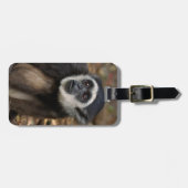Withwitgibbon (Hylobates Lar), Monkeyland Bagagelabel (Voorkant horizontaal)