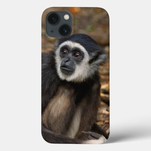Withwitgibbon (Hylobates Lar), Monkeyland Case-Mate iPhone Case (Achterkant)