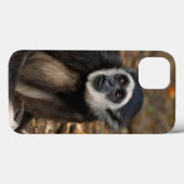 Withwitgibbon (Hylobates Lar), Monkeyland Case-Mate iPhone Case (Achterkant (horizontaal))