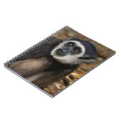 Withwitgibbon (Hylobates Lar), Monkeyland Notitieboek (Linkerzijde)