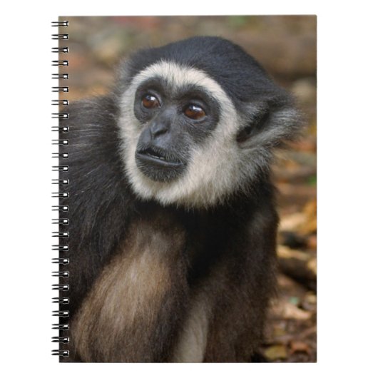 Withwitgibbon (Hylobates Lar), Monkeyland Notitieboek (Voorkant)