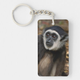 Withwitgibbon (Hylobates Lar), Monkeyland Sleutelhanger