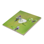Witje vlinder tegeltje (Zijkant)