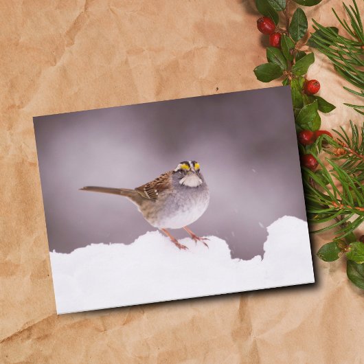 Witkeelgors in de Winter Ansichtkaart Briefkaart