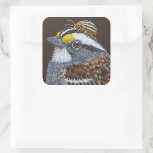 witkeelmousserende stickers (Tas)