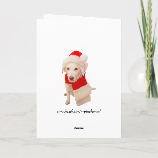 Witkerst Feestdagen Kaart (Achterkant)