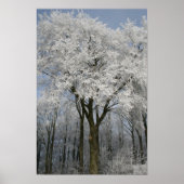 Witkerst Poster (Voorkant)