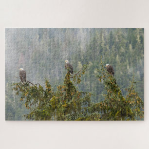 Witkopadelaars   Tongass National Forest Alaska Legpuzzel
