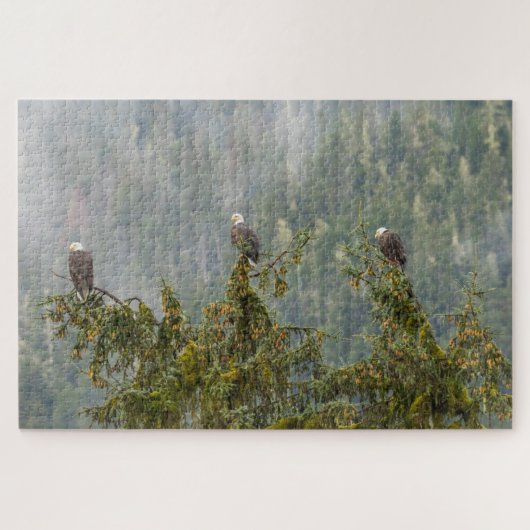 Witkopadelaars | Tongass National Forest Alaska Legpuzzel (Horizontaal)