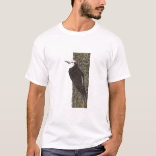 Witkopige Woodpecker T-shirt