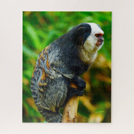 Witkopmarmoset. Legpuzzel (Verticaal)