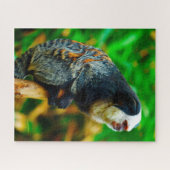 Witkopmarmoset. Legpuzzel (Horizontaal)