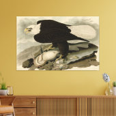 Witkopvogels van Amerika (Bald Eagle) Canvas Afdruk (Insitu (Woonkamer))