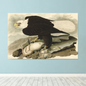 Witkopvogels van Amerika (Bald Eagle) Canvas Afdruk (Insitu (Houten vloer))