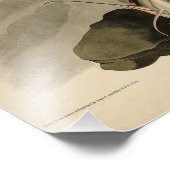 Witkopvogels van Amerika (Bald Eagle) Foto Afdruk (Hoek)