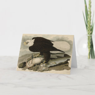 Witkopvogels van Amerika (Bald Eagle) Kaart