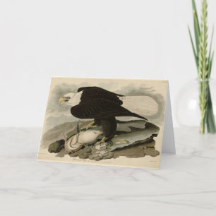 Witkopvogels van Amerika (Bald Eagle) Kaart