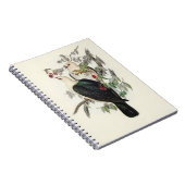 Witkopvruchtenduif, Notitieboek (Rechterzijde)
