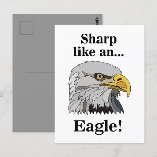 Witkopzeearend Briefkaart