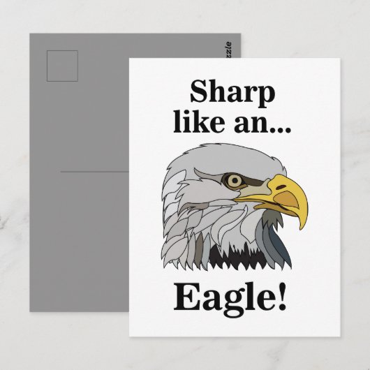 Witkopzeearend Briefkaart (Voorkant / Achterkant)