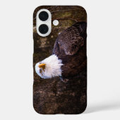 Witkopzeearend Case-Mate iPhone Case (Achterkant)