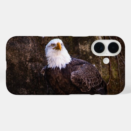 Witkopzeearend Case-Mate iPhone Case (Achterkant (horizontaal))
