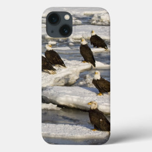 Witkopzeearend, Haliaeetus leucocephalus, Homer, 2 Case-Mate iPhone Case