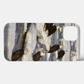 Witkopzeearend, Haliaeetus leucocephalus, Homer, 2 Case-Mate iPhone Case (Achterkant (horizontaal))