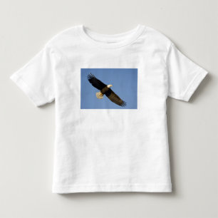Witkopzeearend, Haliaeetus leucocephalus, Homer, 4 Kinder Shirts