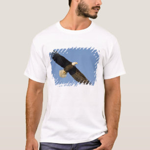 Witkopzeearend, Haliaeetus leucocephalus, Homer, 4 T-shirt