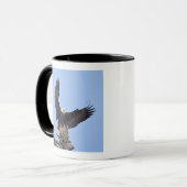 Witkopzeearend (Haliaeetus leucocephalus) met vleu Mok (Voorkant links)