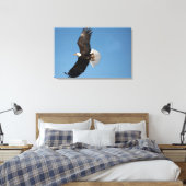 Witkopzeearend in vlucht canvas afdruk (Insitu (Slaapkamer))
