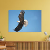 Witkopzeearend in vlucht canvas afdruk (Insitu (Woonkamer))