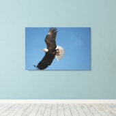 Witkopzeearend in vlucht canvas afdruk (Insitu (Houten vloer))