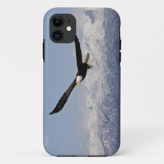 Witkopzeearend in vlucht, Haliaeetus leucocephalus Case-Mate iPhone Case (Achterkant)