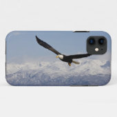 Witkopzeearend in vlucht, Haliaeetus leucocephalus Case-Mate iPhone Case (Achterkant (horizontaal))