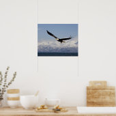 Witkopzeearend in vlucht, Haliaeetus leucocephalus Poster (Keuken)